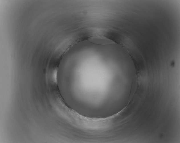 X0000112890047200908281711