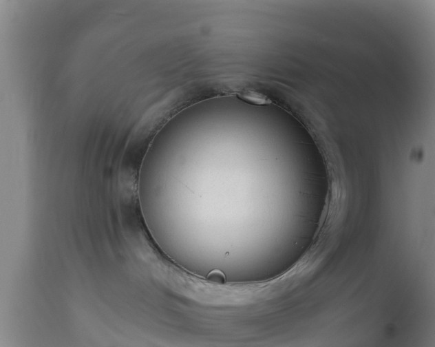X0000112890048200908281711