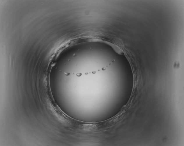 X0000112890050200908281710