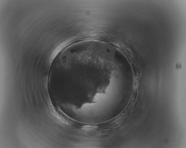 X0000112890051200908281710