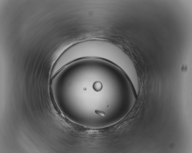 X0000112890052200908281710