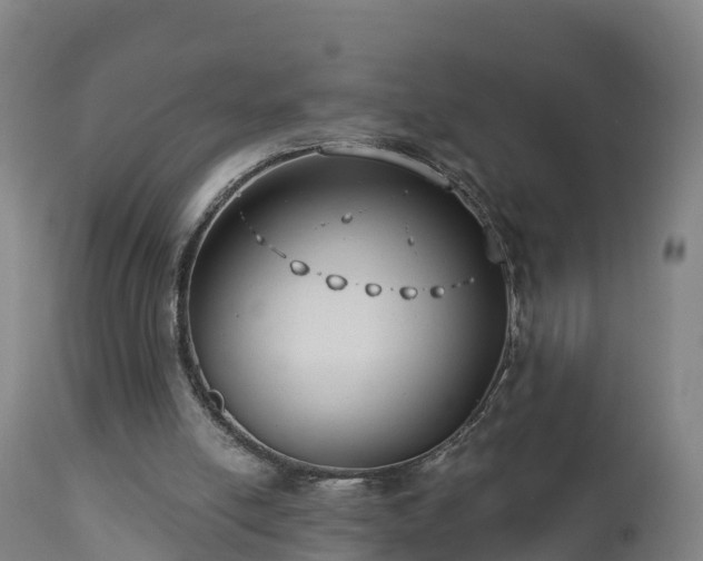 X0000112890054200908281710