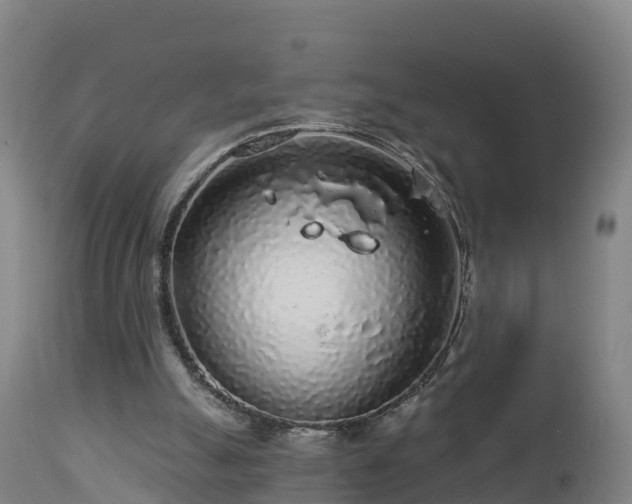 X0000112890055200908281710
