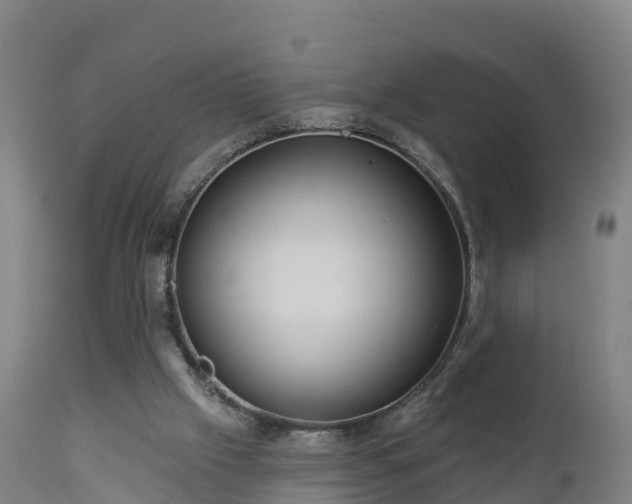 X0000112890057200908281710
