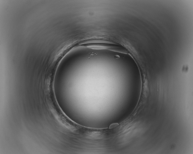 X0000112890058200908281710