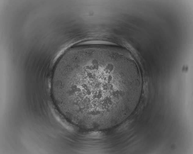 X0000112890059200908281710
