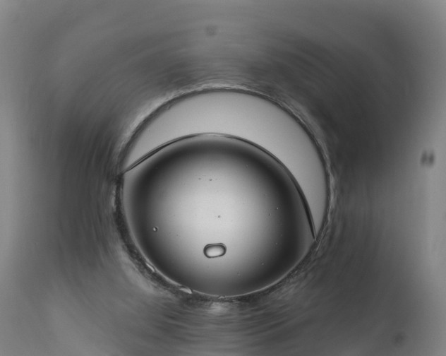 X0000112890060200908281710