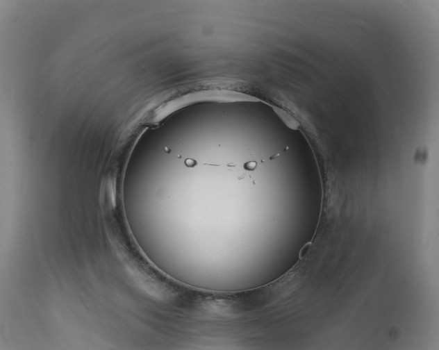 X0000112890062200908281710