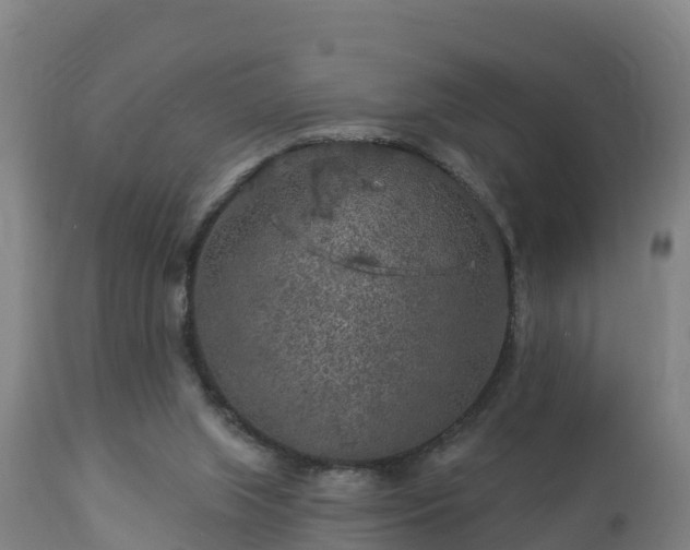 X0000112890063200908281710