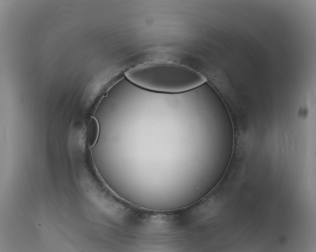 X0000112890064200908281710