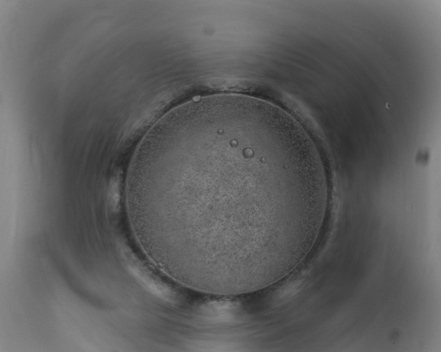 X0000112890065200908281710