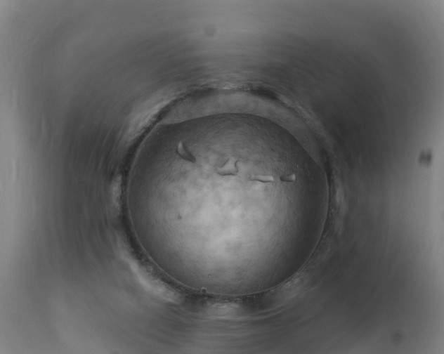 X0000112890066200908281710