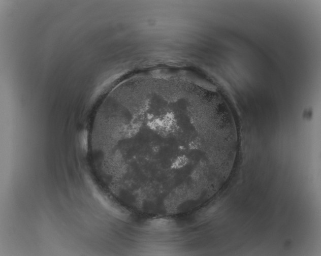 X0000112890067200908281711