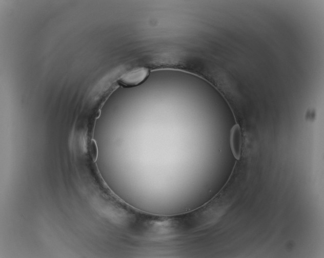 X0000112890068200908281711