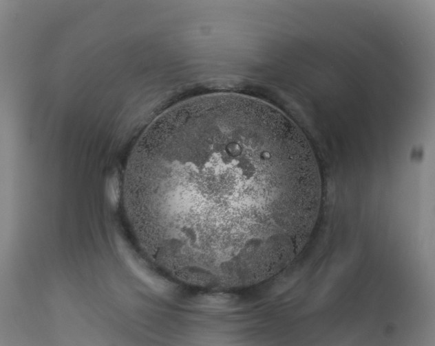 X0000112890069200908281711