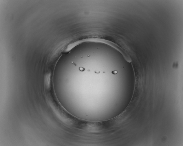 X0000112890070200908281711