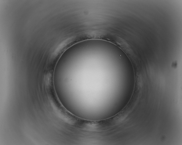 X0000112890071200908281711