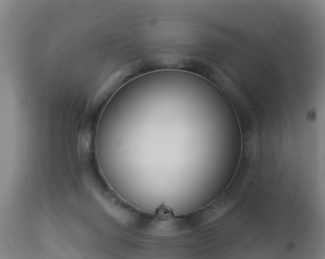 X0000112890072200908281711