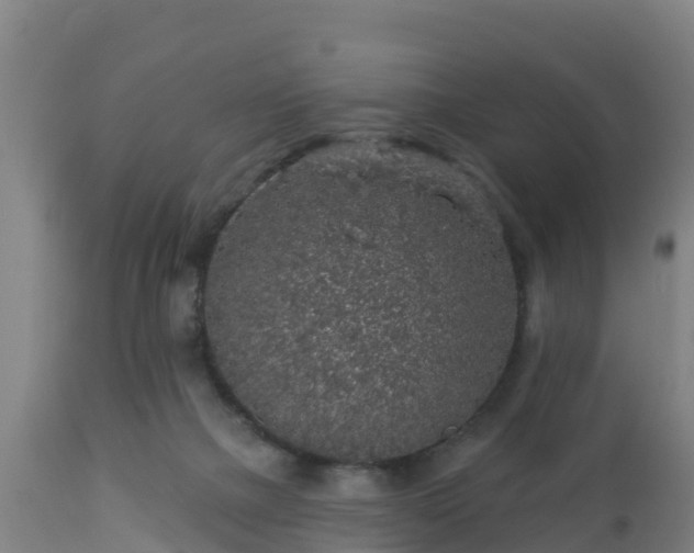 X0000112890073200908281711