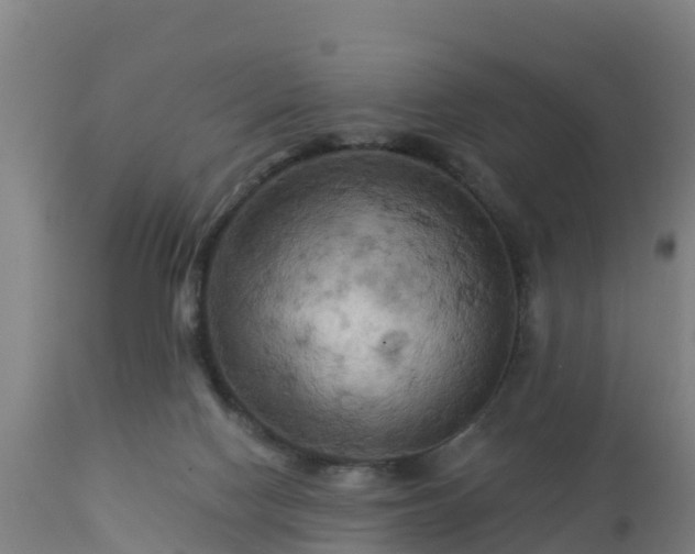 X0000112890074200908281711