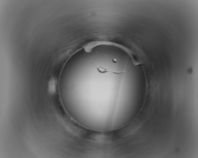 X0000112890075200908281711