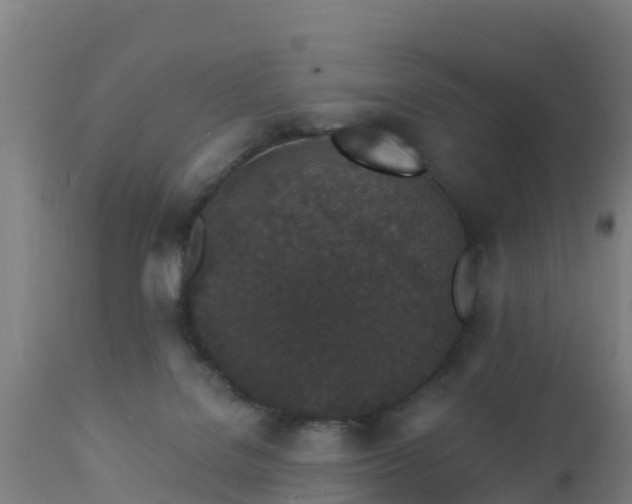 X0000112890076200908281711