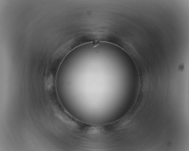 X0000112890077200908281711