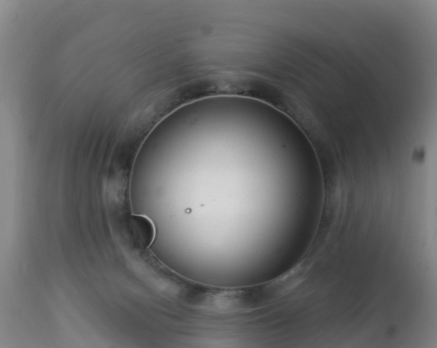 X0000112890078200908281711
