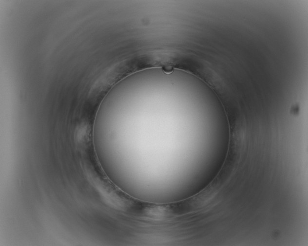 X0000112890079200908281711
