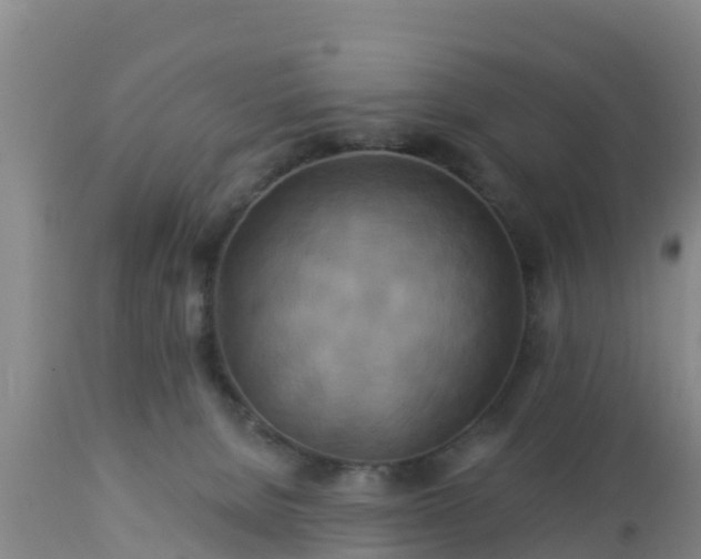 X0000112890080200908281711