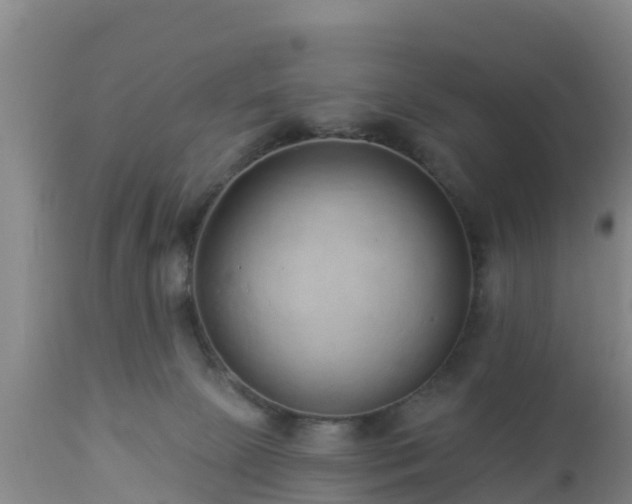 X0000112890081200908281711