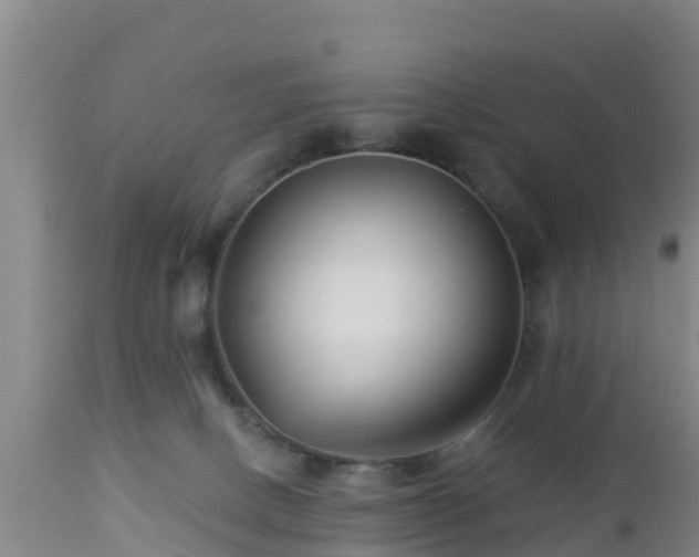 X0000112890082200908281711