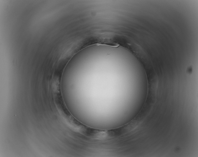 X0000112890083200908281711