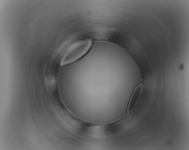 X0000112890084200908281711