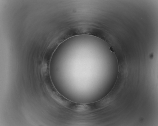 X0000112890087200908281711