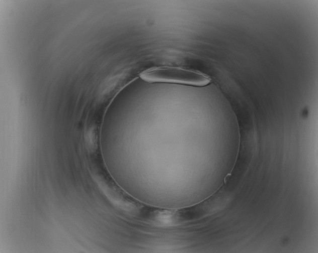 X0000112890088200908281711
