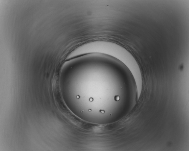 X0000112890092200908281711