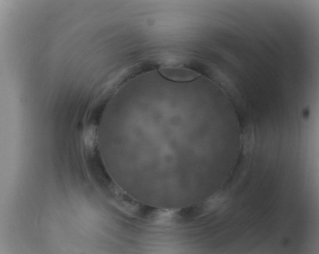 X0000112890093200908281711