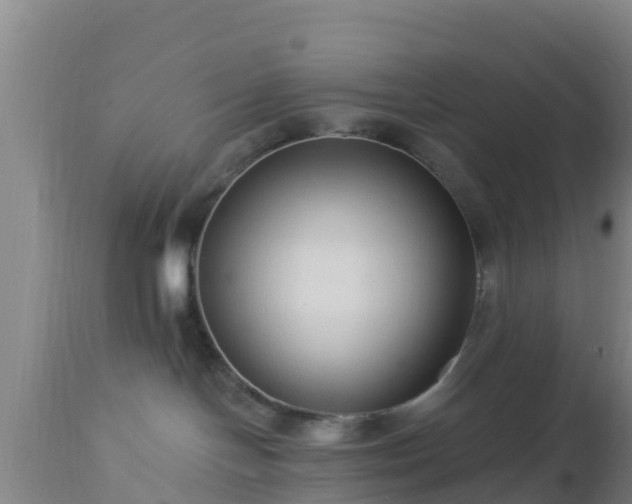 X0000112890094200908281711