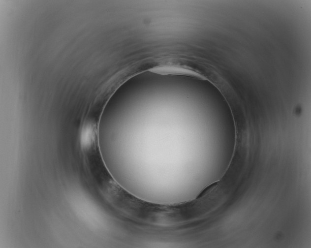 X0000112890095200908281711