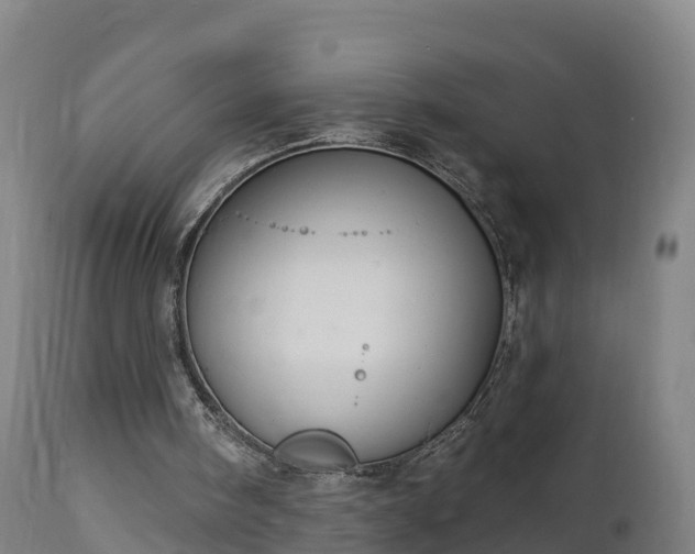 X0000112890098200908281710