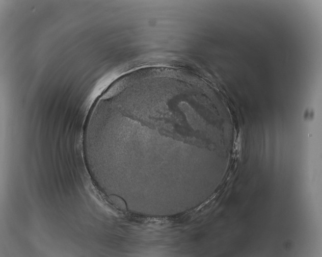 X0000112890099200908281710