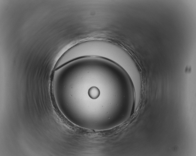 X0000112890100200908281710