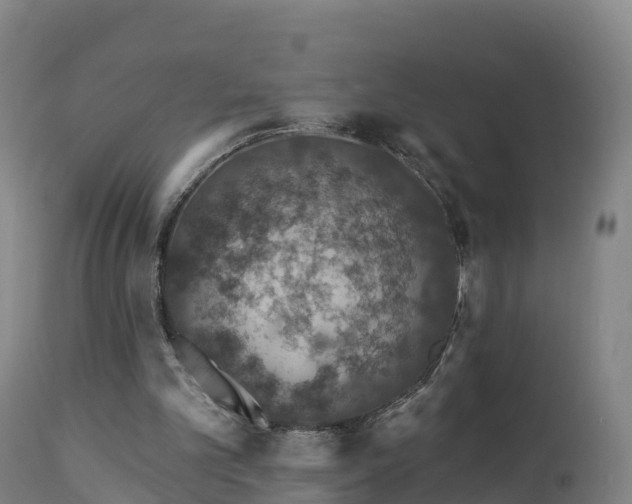 X0000112890101200908281710