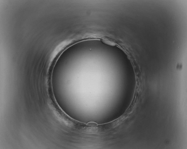 X0000112890104200908281710