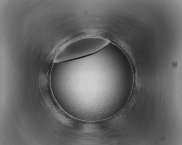 X0000112890105200908281710