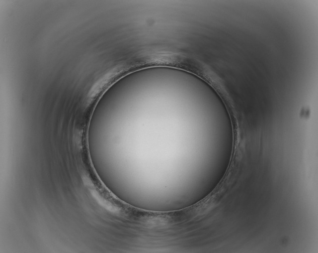 X0000112890106200908281710