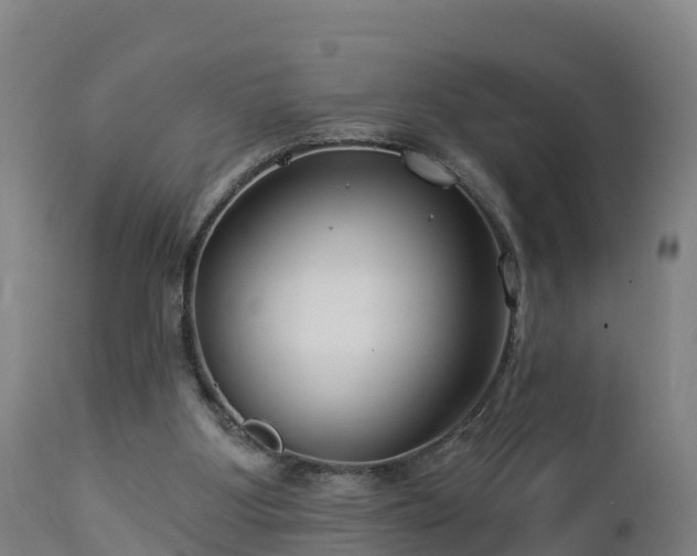 X0000112890107200908281710