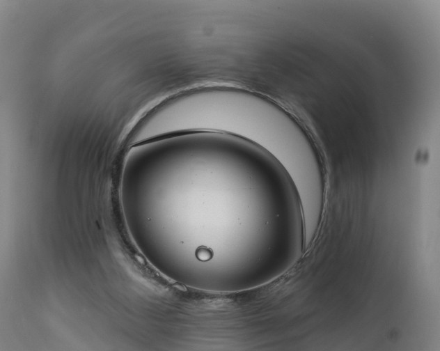 X0000112890108200908281710