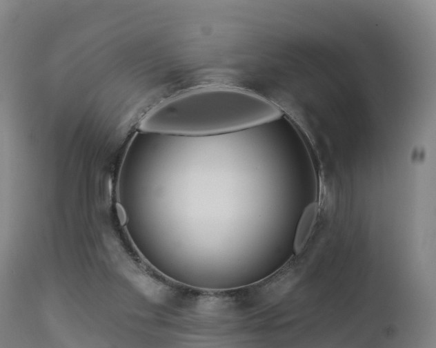 X0000112890109200908281710